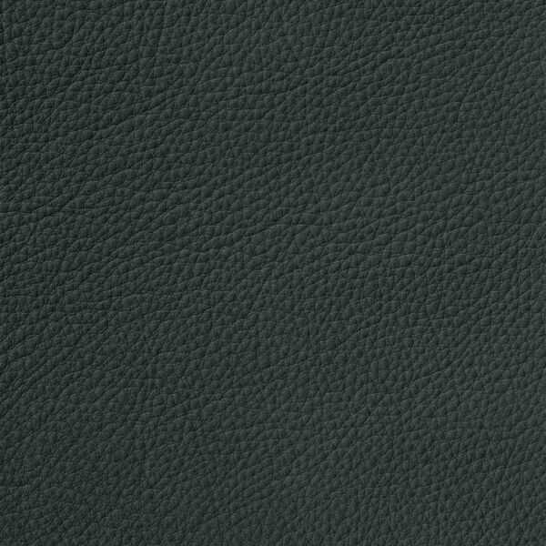 Cera 5618 Rain