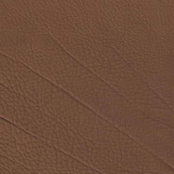 Cera 5630 Fudge